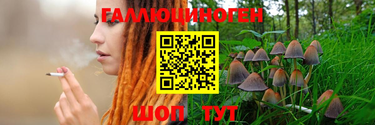 Галлюциногенные грибы Magic Shrooms  Вход с VPN  Бийск 